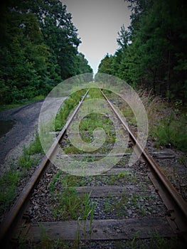 Abandoned Railroad Tracks photo