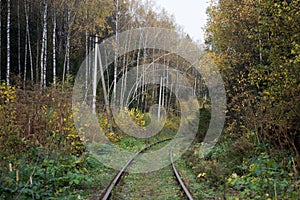 Abandoned railway in the autumn forest