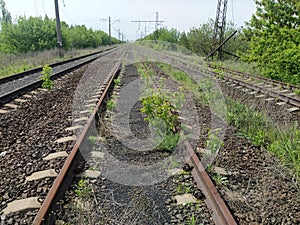 abandoned railway in the direction of Donetsk trees rails sleepers grass signs