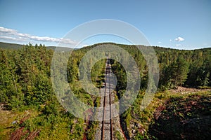 Abandoned railway in the forest. View in perspective.
