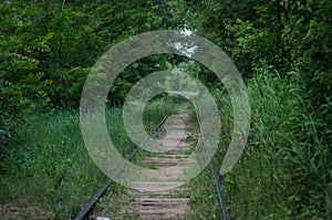 Abandoned railway. A once-lively site overgrown with grass and trees. Decay.