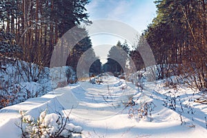 Abandoned railway passing by snowy winter forest