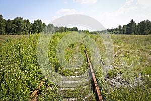 Abandoned railway with rusty rails. The grass has grown through the sleepers.