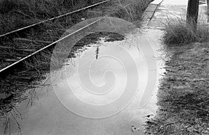 Abandoned Railway Station photo