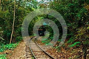 Abandoned railway track in the autumn forest. thickets of the jungle