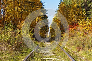 Abandoned railway tracks in autumn forest. Colorful autumn landscape with orange and yellow leaves. Fall forest or nature park