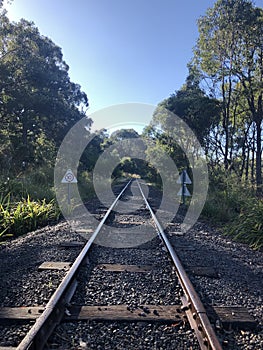 Abandoned railway tracks in bushland