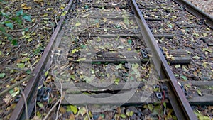 Abandoned railway tracks with fallen leaves in autumn