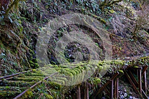 Abandoned railway tracks Jianqing Huaigu Trai at Taipingshan National Forest Recreation Area in Yilan,