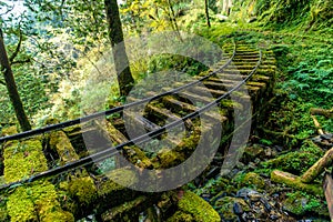 Abandoned railway tracks in Yilan, Taiwan