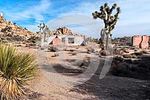 Abandoned ranch, Joshua Tree National Park