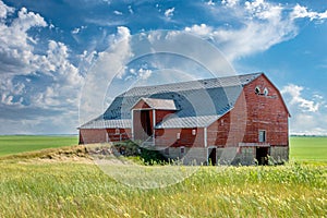 An abandoned red basement or bank barn on the Saskatchewan prairies