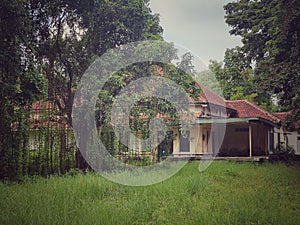 Abandoned residence. It was occupied by officials of Colomadu sugar factory during the reign of Amangkurat IV.