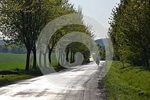 Abandoned road with a cyclist