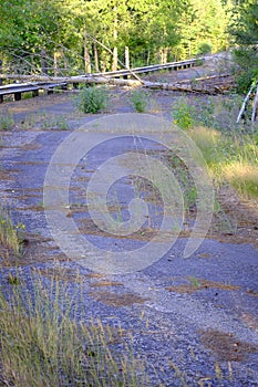 Abandoned Road with Fallen Tree in Roadway