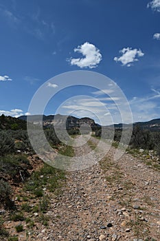 An abandoned road in Ojitos Canyon, New Mexico photo