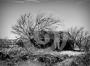 Abandoned Route 66 Homestead