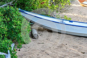 Abandoned rowboat on the beautiful beach