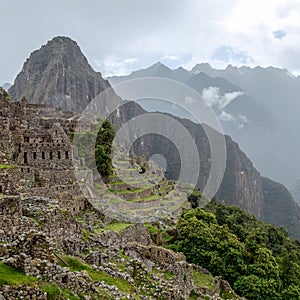 Abandoned ruins of Machu Picchu Incan citadel, the maze of terraces and walls rising out of the thick undergrowth, Peru
