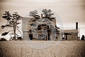 Abandoned, Run Down House