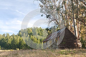 Abandoned rustic cabin