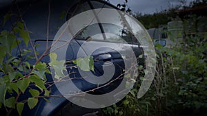 Abandoned Rusting 1990s German Car Consumed by Undergrowth in Woodland