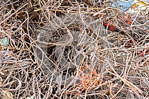 rusty construction bars stacked,concept of garbage in buildings,Steel structure of cement That were singled out for