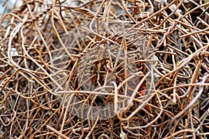 Abandoned rusty construction bars stacked,concept of garbage in buildings,Steel structure of cement That were singled out for