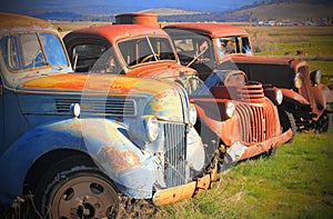 Abandoned Rusty Jalopies