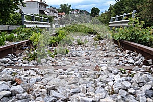 Abandoned rusty railroad track covered with green grass