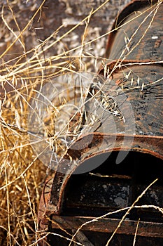 An abandoned rusty water pipe