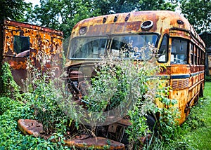 Abandoned rusty yellow school bus