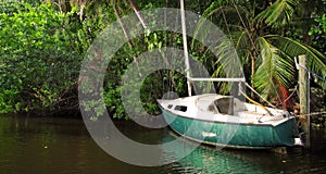 Abandoned Sailboat on Jungle River