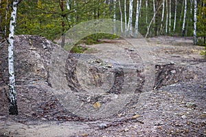 abandoned sand open pit on edge of forest