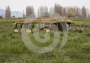 Abandoned School Bus