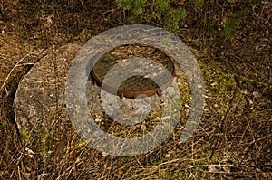 An abandoned sewer well with a cover in the forest with needles