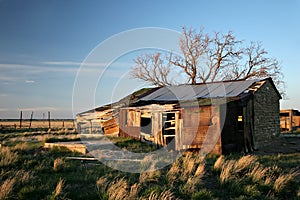 Abandoned shack