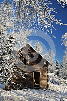 Abandoned shack in farmland with winter snow