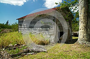 Abandoned shack