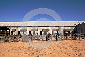 Abandoned shearing shed