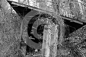 Abandoned shed in forest - black and white