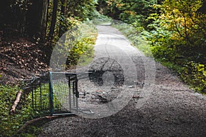 Abandoned shopping cart found on Bridle Trail in Stanley Park