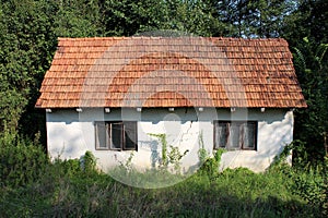 Abandoned small family house with cracked facade and broken windows completely surrounded with overgrown grass and other forest