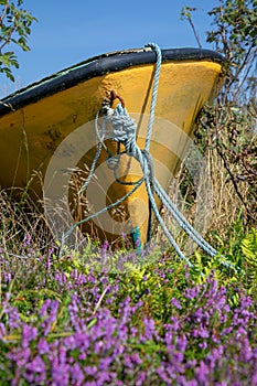 Abandoned small rowing boat with a yellow hull.