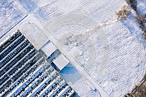 Abandoned snow-covered greenhouse in the countryside. top view aerial photo