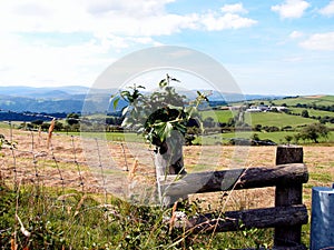 Abandoned stile