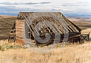 Abandoned stock barn