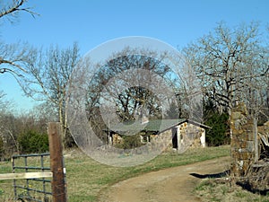 Abandoned stone home with daffodils in Arkansas