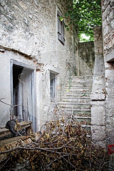 Abandoned stone house backyard