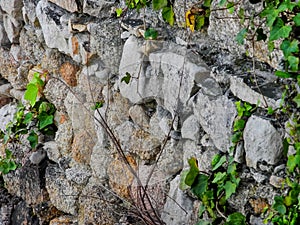 Abandoned stone wall covered with moss and plants